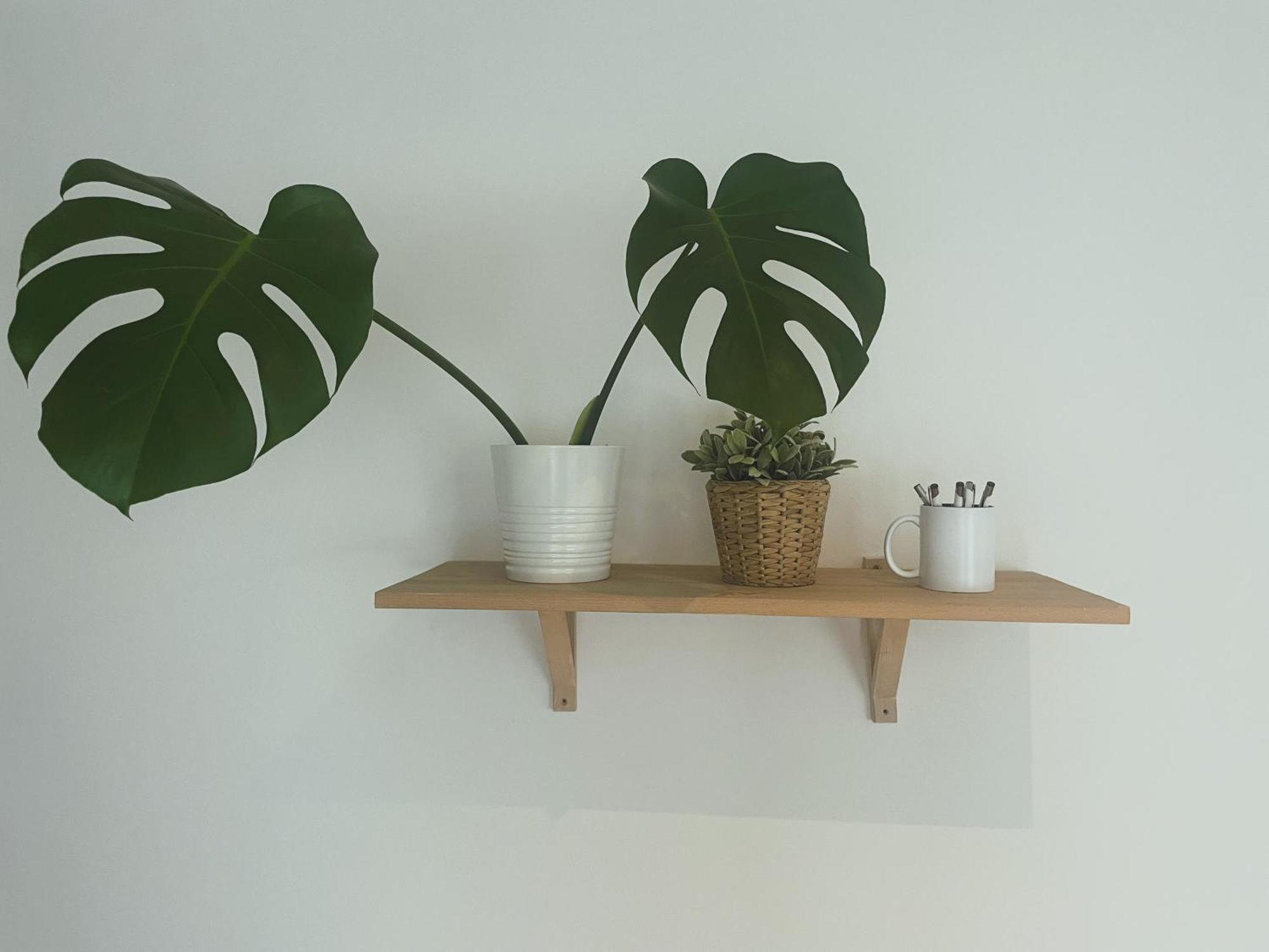 Apt 100 Prague Ngoại thất bức ảnh